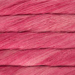 Malabrigo Arroyo 021 - Cactus Flower