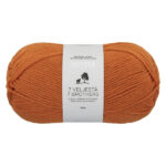 7 Veljestä / 7 Brothers 273 brittlegill