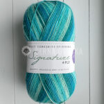 Signature 4ply Winwick Mum 873 Seascape