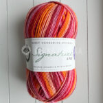 Signature 4ply Winwick Mum 881 Summer Sunset