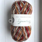 Signature 4ply Christmas Collection 941 Robin