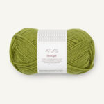 PetiteKnit Atlas 9564 Matcha